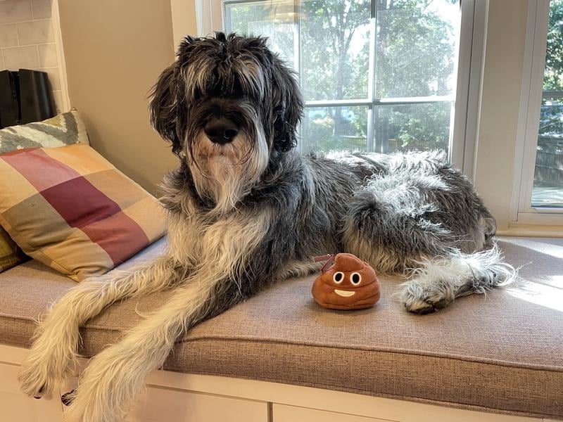 💥Funny Poop Plush Toy – Makes Fart Sounds!💩