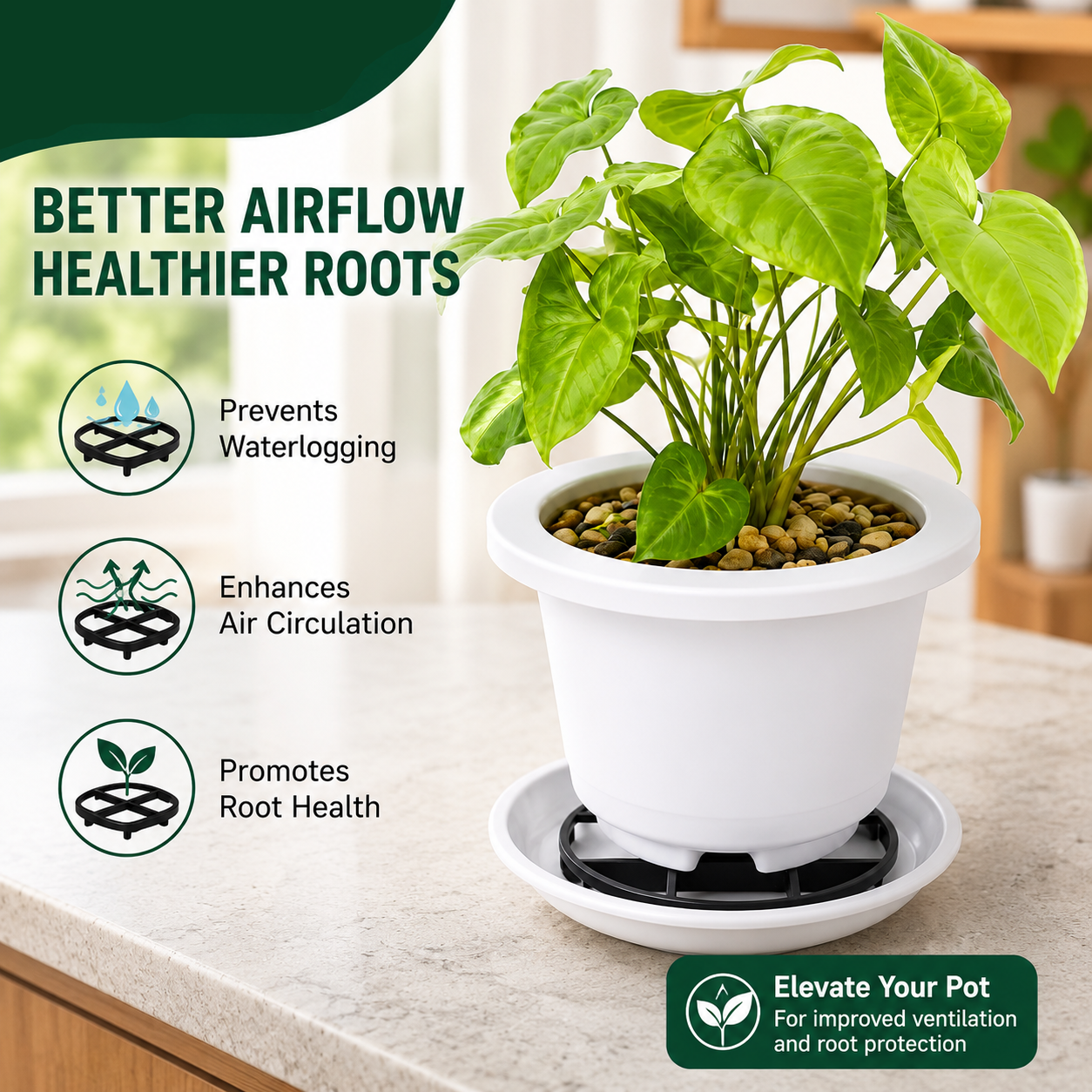 Plant Pot Riser Stand for Better Drainage & Healthy Roots