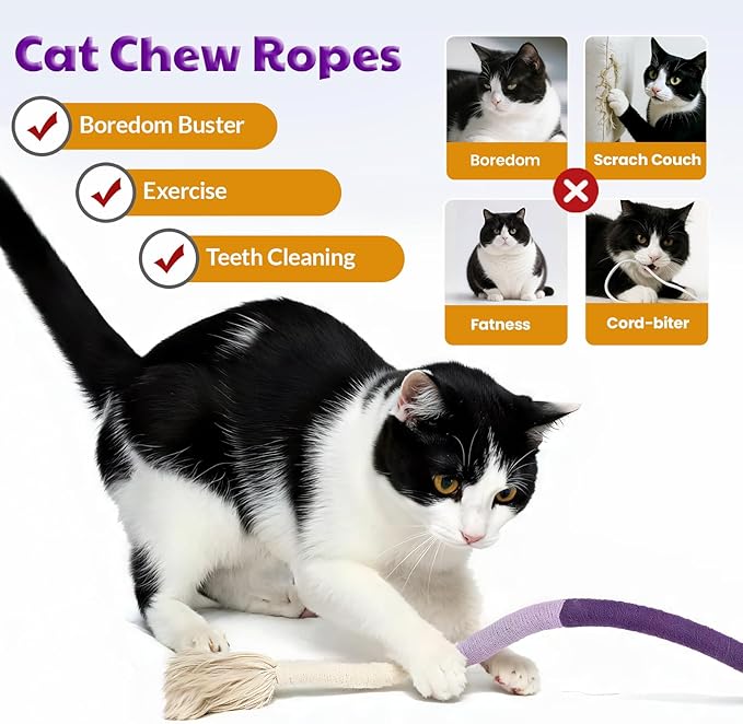 Chew Rope Toy – Natural, Safe Tooth Cleaner for Indoor Cats