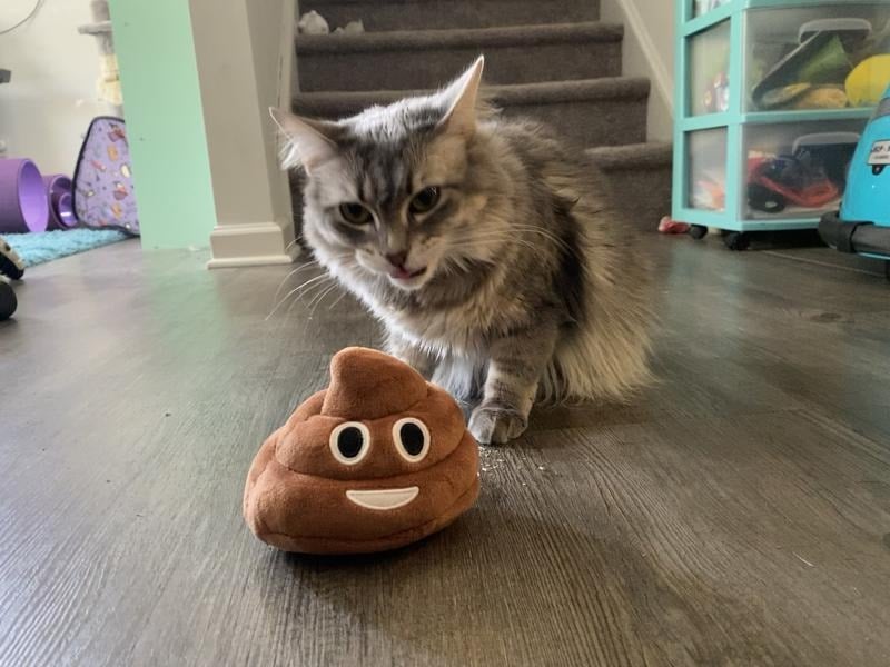 💥Funny  Poop Plush Toy – Makes Fart Sounds!💩