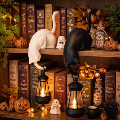 🐈‍⬛ Cute Cat Hook Shelf Decor