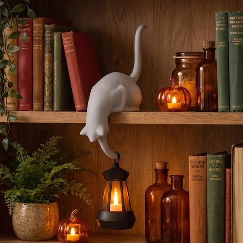 🐈‍⬛ Cute Cat Hook Shelf Decor