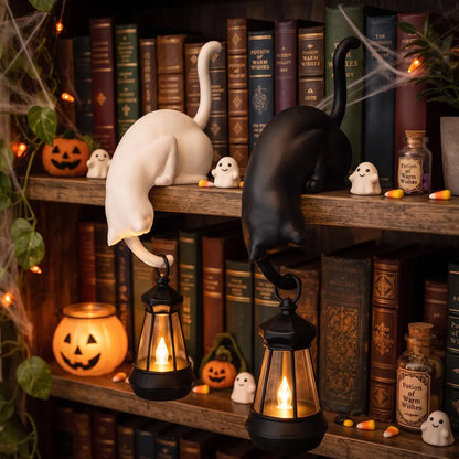 🐈‍⬛ Cute Cat Hook Shelf Decor