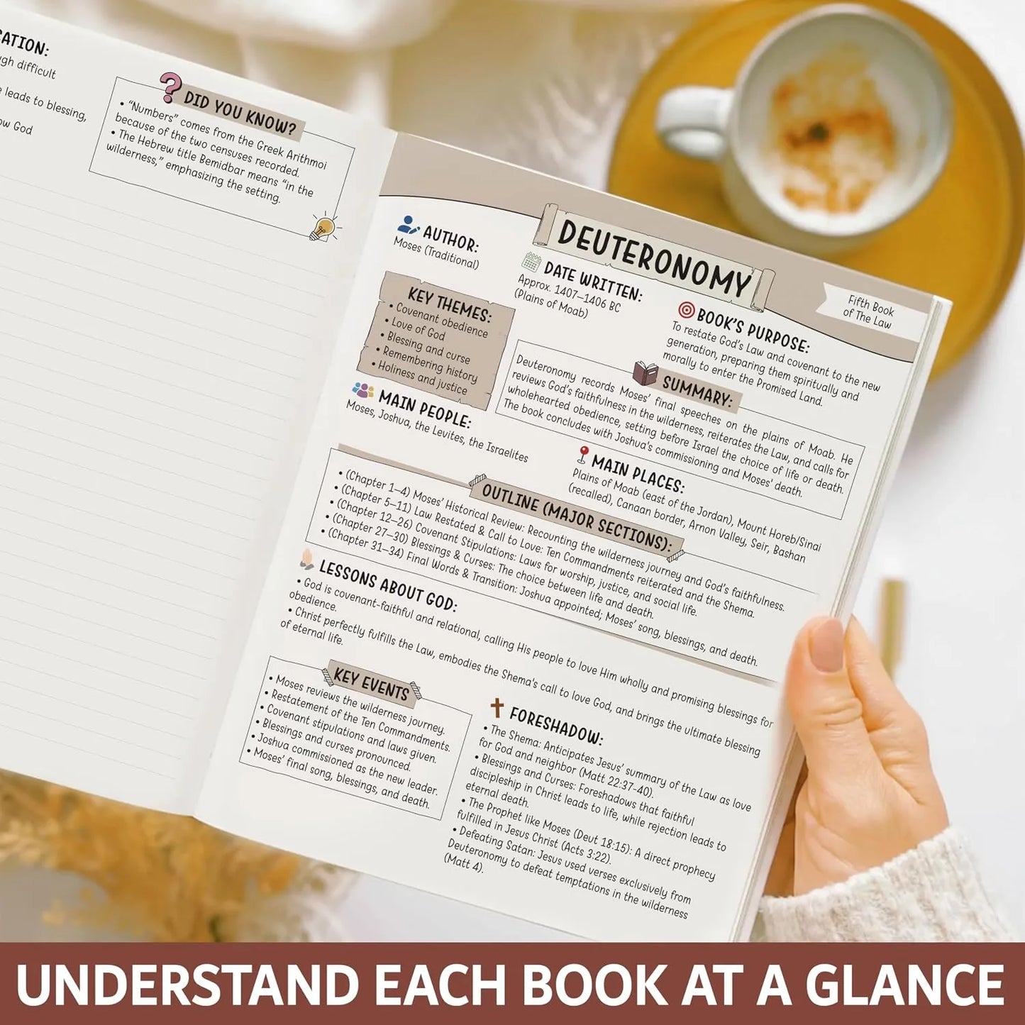 ✝️📚Bible Study Guide for Women & Men – Beginner-Friendly Study of Books