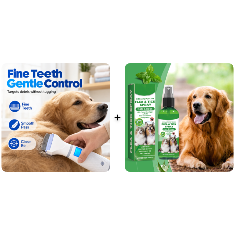 🥳2026 HOT SALE🥳💞50K+ SOLD!🐾⚡ 50% OFF! Electric Flea Comb for Pets – Vacuum suction + fine stainless teeth, chemical‑free flea removal. Gentle on coat, easy to clean – a must for pet parents! 🛡️✨