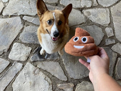 💥Funny  Poop Plush Toy – Makes Fart Sounds!💩