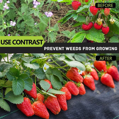 🔥Last day to enjoy a 50% discount—high-end woven weed barrier